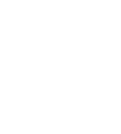 PRO REMONT